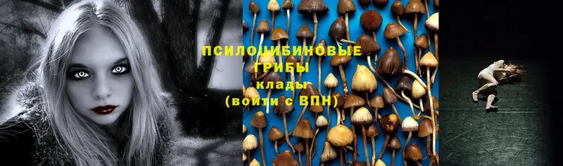 Галлюциногенные грибы Cubensis  Билибино 